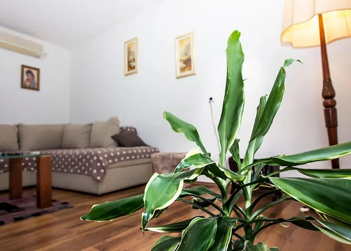 Barakuda 스플리트